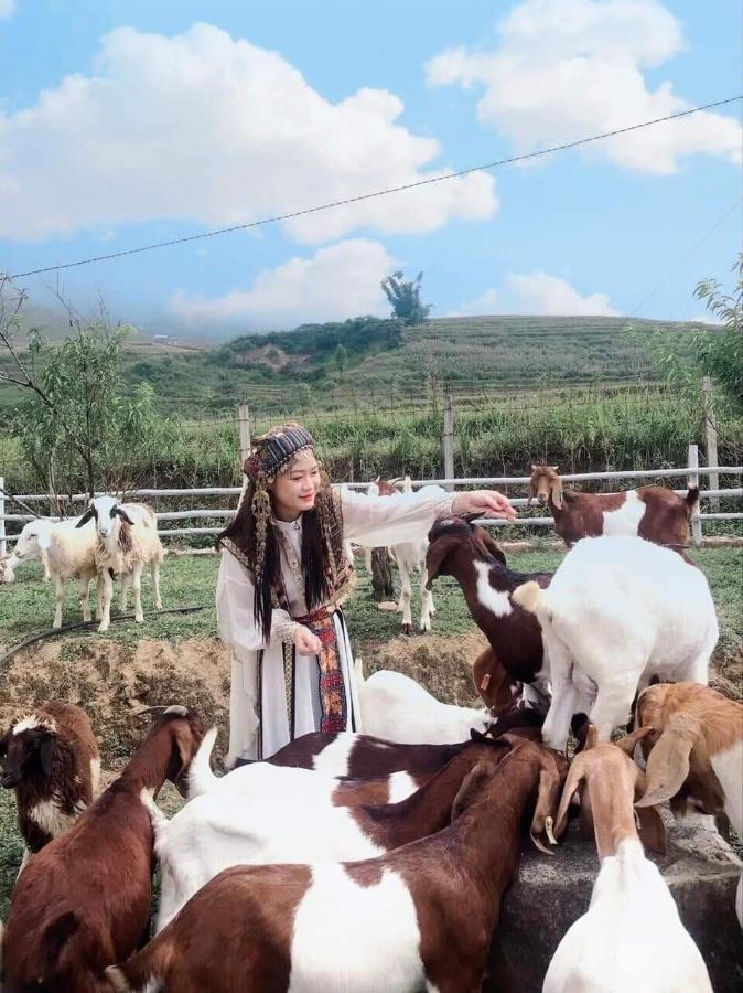 O Chau Homestay Lao Cai Exteriör bild
