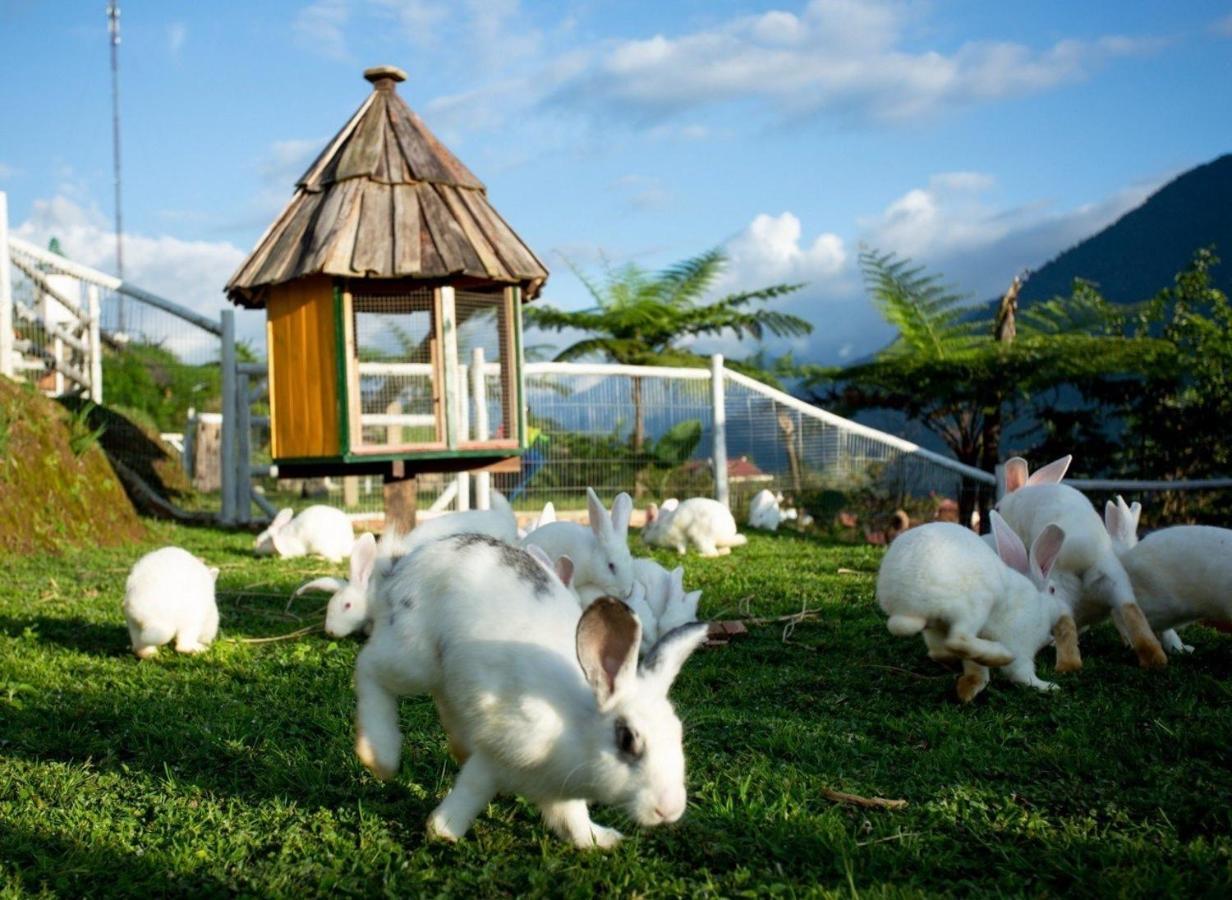 O Chau Homestay Lao Cai Exteriör bild