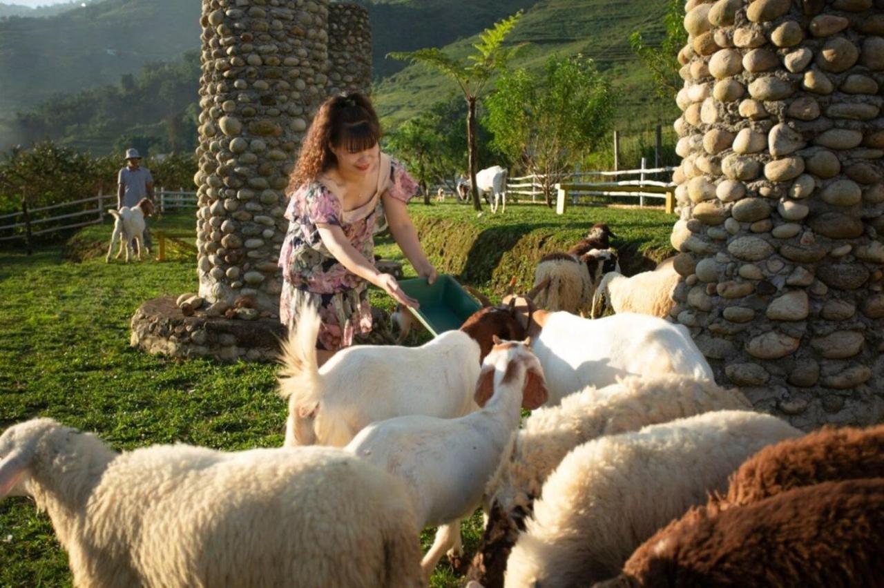 O Chau Homestay Lao Cai Exteriör bild