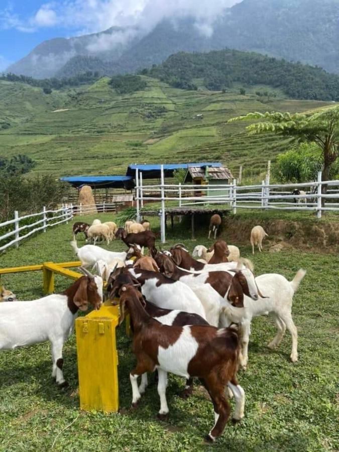 O Chau Homestay Lao Cai Exteriör bild